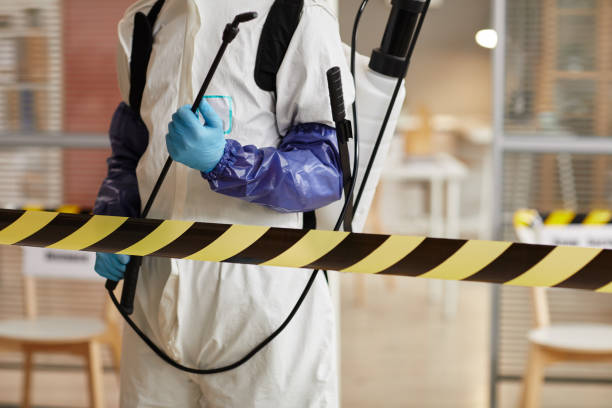 Professional Sewage Cleanup technician working in Springboro, OH