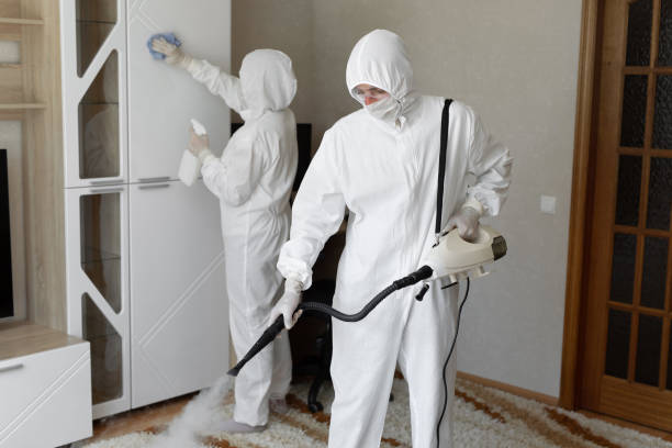 Trusted Sewage Cleanup service in Springboro, OH - Four Month Blood Cleanse